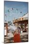 Boy Eating Cotton Candy at Fair-William P. Gottlieb-Mounted Photographic Print