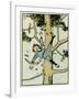 Boy Falls from a Tree-John Hassall-Framed Art Print