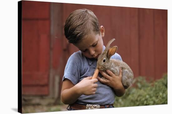 Boy Feeding a Rabbit-William P. Gottlieb-Stretched Canvas