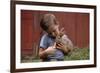 Boy Feeding a Rabbit-William P. Gottlieb-Framed Photographic Print