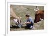 Boy Feeding Cows-William P. Gottlieb-Framed Photographic Print