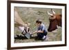 Boy Feeding Cows-William P. Gottlieb-Framed Photographic Print