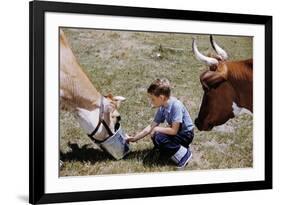 Boy Feeding Cows-William P. Gottlieb-Framed Photographic Print