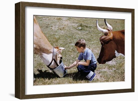 Boy Feeding Cows-William P. Gottlieb-Framed Photographic Print