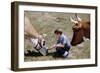 Boy Feeding Cows-William P. Gottlieb-Framed Photographic Print