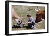 Boy Feeding Cows-William P. Gottlieb-Framed Photographic Print