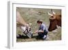 Boy Feeding Cows-William P. Gottlieb-Framed Photographic Print