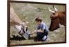 Boy Feeding Cows-William P. Gottlieb-Framed Photographic Print