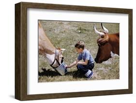 Boy Feeding Cows-William P. Gottlieb-Framed Photographic Print