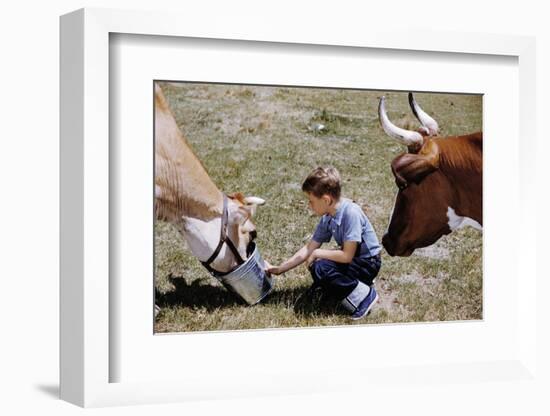 Boy Feeding Cows-William P. Gottlieb-Framed Photographic Print