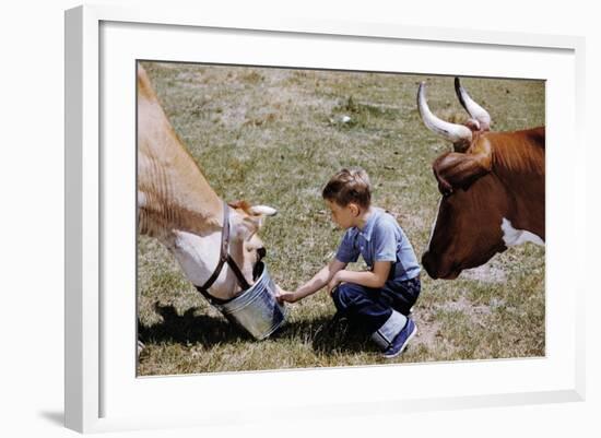 Boy Feeding Cows-William P. Gottlieb-Framed Photographic Print