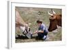 Boy Feeding Cows-William P. Gottlieb-Framed Photographic Print