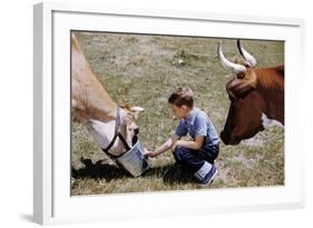 Boy Feeding Cows-William P. Gottlieb-Framed Photographic Print