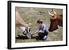 Boy Feeding Cows-William P. Gottlieb-Framed Photographic Print