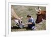 Boy Feeding Cows-William P. Gottlieb-Framed Photographic Print