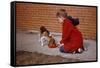 Boy Feeding Dog on Sidewalk-William P. Gottlieb-Framed Stretched Canvas