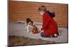Boy Feeding Dog on Sidewalk-William P. Gottlieb-Mounted Photographic Print