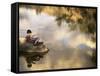 Boy Fishing from a Rock on a Pond-null-Framed Stretched Canvas