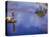 Boy Fishing from a Rock on a Pond-null-Stretched Canvas