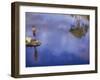 Boy Fishing from a Rock on a Pond-null-Framed Photographic Print