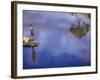 Boy Fishing from a Rock on a Pond-null-Framed Photographic Print