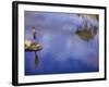 Boy Fishing from a Rock on a Pond-null-Framed Photographic Print