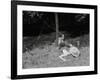 Boy Fishing in the Country-Bettmann-Framed Photographic Print