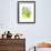 Boy-Frog-Girl-Nate Owens-Framed Giclee Print displayed on a wall