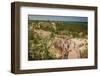 Boy Hiking along Dune Succession Trail in Indiana Dunes National Park-Jon Lauriat-Framed Photographic Print