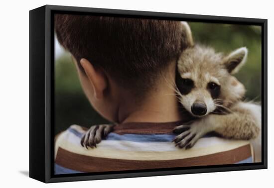 Boy Holding a Raccoon-William P. Gottlieb-Framed Stretched Canvas