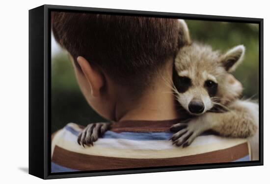 Boy Holding a Raccoon-William P. Gottlieb-Framed Stretched Canvas