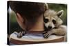 Boy Holding a Raccoon-William P. Gottlieb-Stretched Canvas
