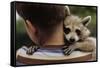 Boy Holding a Raccoon-William P. Gottlieb-Framed Stretched Canvas