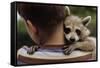 Boy Holding a Raccoon-William P. Gottlieb-Framed Stretched Canvas