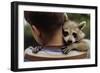 Boy Holding a Raccoon-William P. Gottlieb-Framed Photographic Print