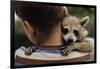 Boy Holding a Raccoon-William P. Gottlieb-Framed Photographic Print