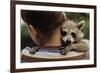 Boy Holding a Raccoon-William P. Gottlieb-Framed Photographic Print