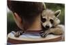 Boy Holding a Raccoon-William P. Gottlieb-Mounted Photographic Print