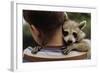 Boy Holding a Raccoon-William P. Gottlieb-Framed Photographic Print