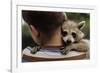 Boy Holding a Raccoon-William P. Gottlieb-Framed Photographic Print