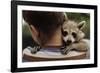 Boy Holding a Raccoon-William P. Gottlieb-Framed Photographic Print