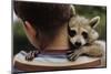 Boy Holding a Raccoon-William P. Gottlieb-Mounted Photographic Print