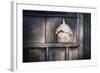 Boy in a Tin Foil Hat Peeking Out of a Window-soupstock-Framed Art Print