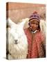 Boy in Costume with Llamas, Cuzco, Peru-Bill Bachmann-Stretched Canvas