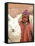 Boy in Costume with Llamas, Cuzco, Peru-Bill Bachmann-Framed Stretched Canvas