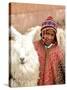 Boy in Costume with Llamas, Cuzco, Peru-Bill Bachmann-Stretched Canvas