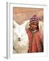 Boy in Costume with Llamas, Cuzco, Peru-Bill Bachmann-Framed Photographic Print