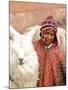 Boy in Costume with Llamas, Cuzco, Peru-Bill Bachmann-Mounted Photographic Print