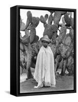Boy in Front of a Cactus, State of Veracruz, Mexico, 1927-Tina Modotti-Framed Stretched Canvas