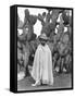 Boy in Front of a Cactus, State of Veracruz, Mexico, 1927-Tina Modotti-Framed Stretched Canvas